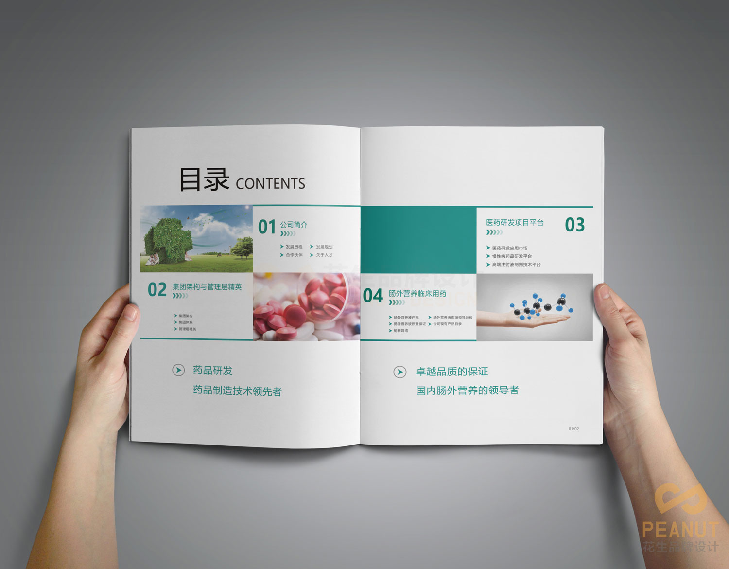 绿十字集团企业宣传册设计_企业宣传册设计制作_广州宣传册设计制作