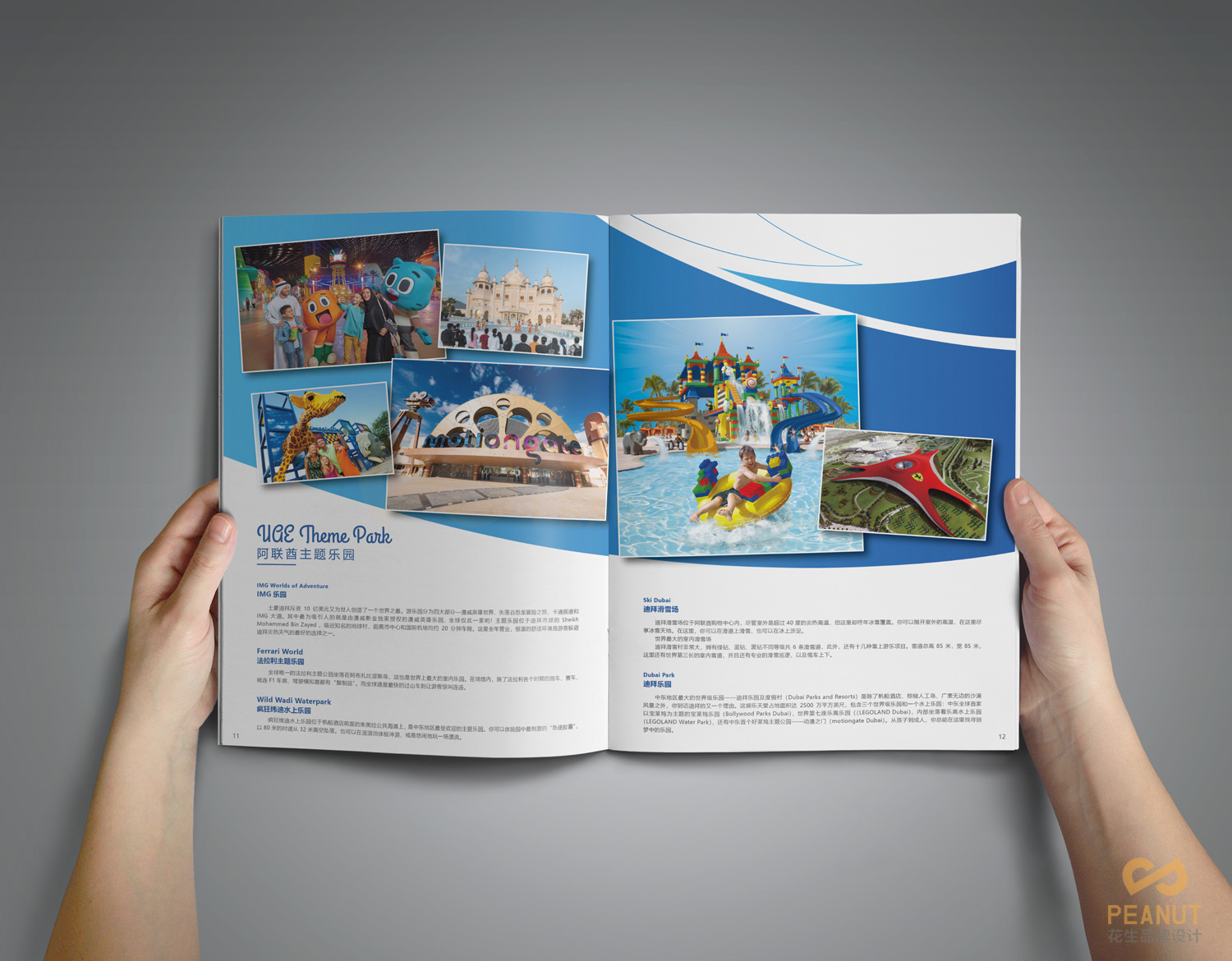 折页产品画册，折页产品画册设计，广州折页画册设计公司