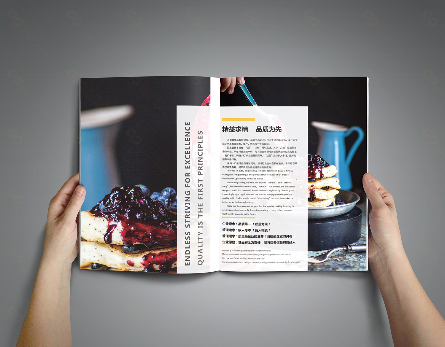 食品公司简介设计，食品产品目录设计，食品画册设计，食品宣传册设计