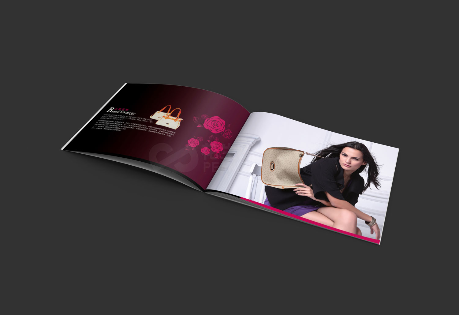 V姿皮具公司宣传手册设计_企业宣传手册设计-花生品牌设计