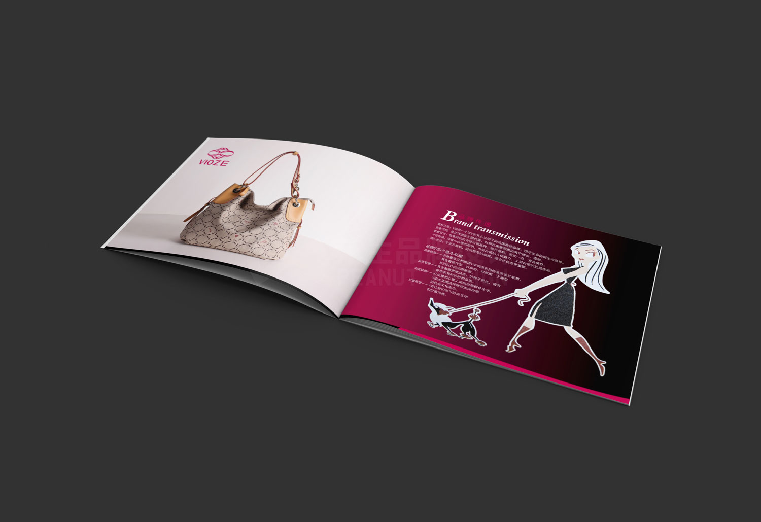 V姿皮具公司宣传手册设计_企业宣传手册设计-花生品牌设计