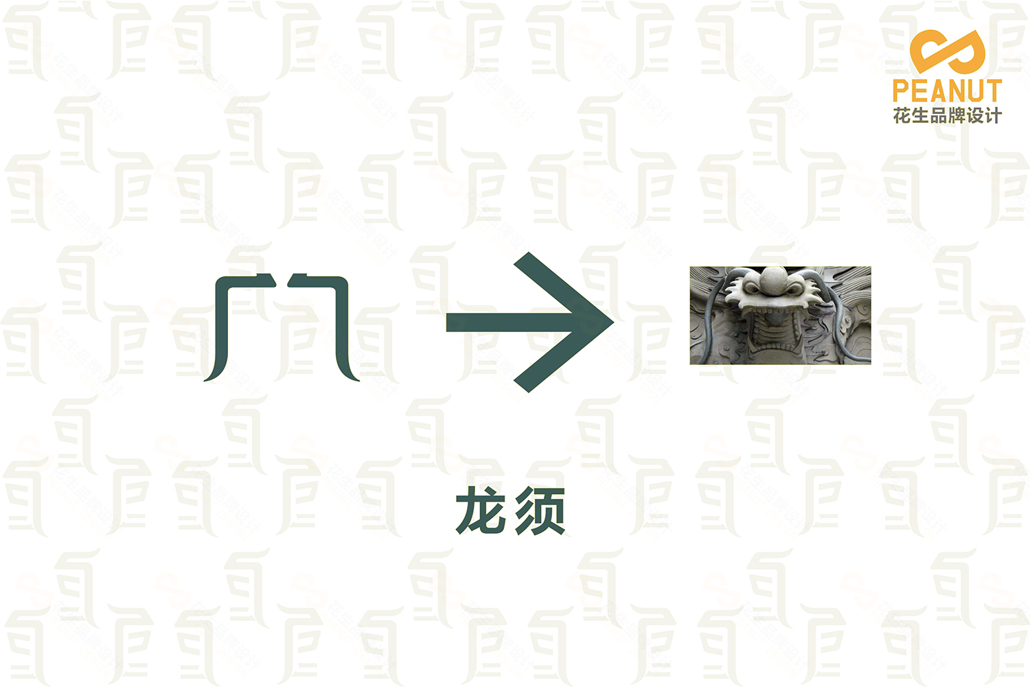 巨龙堂品牌VI设计|广州logo设计公司|广州VI设计公司-花生品牌设计 巨龙堂品牌VI设计|广州logo设计公司|广州VI设计公司-花生品牌设计