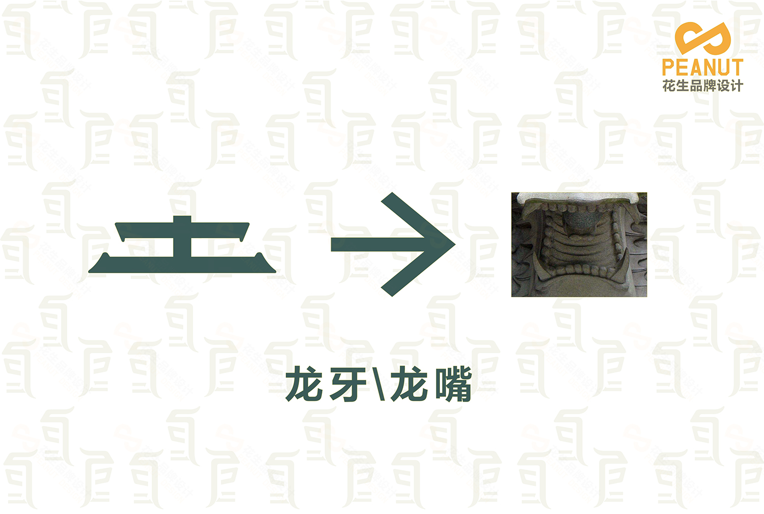 巨龙堂品牌VI设计|广州logo设计公司|广州VI设计公司-花生品牌设计 巨龙堂品牌VI设计|广州logo设计公司|广州VI设计公司-花生品牌设计