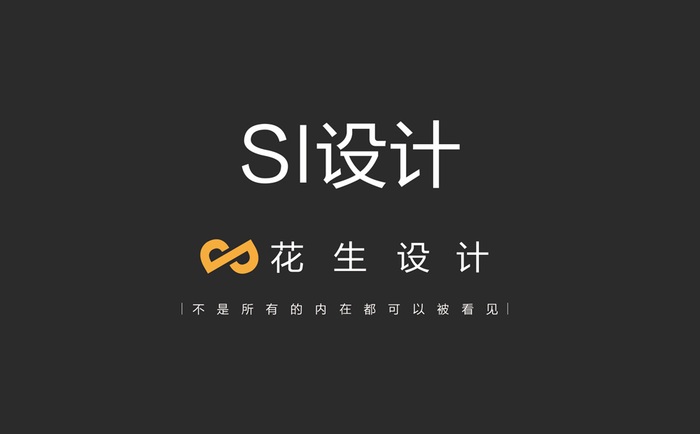 si设计公司 为企业发展增加魅力|广州si设计公司-花生品牌设计