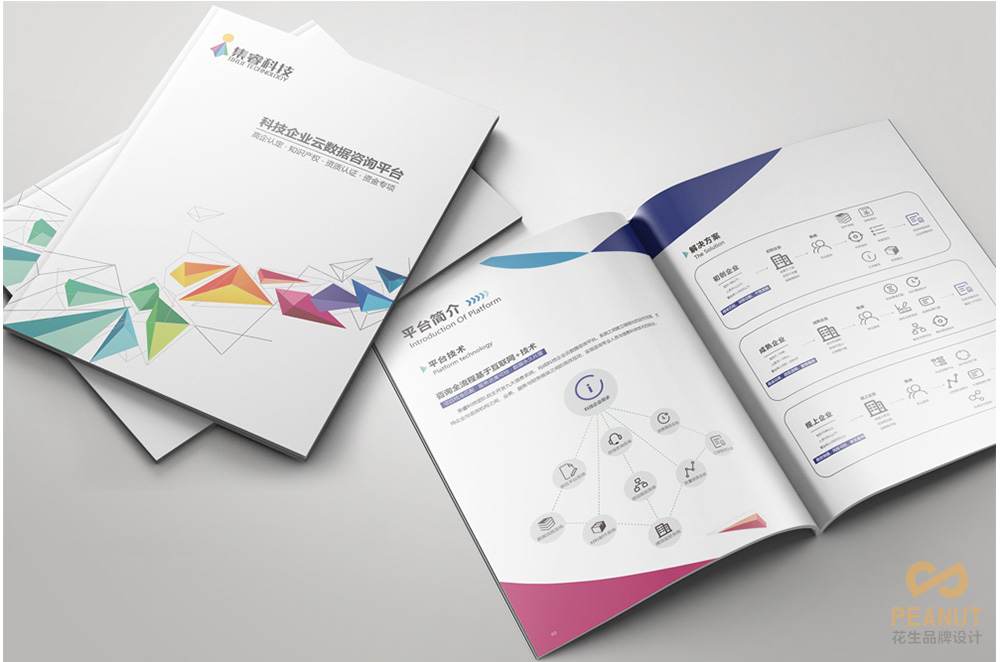 软件开发画册设计_信息科技宣传册设计方案-花生画册设计公司