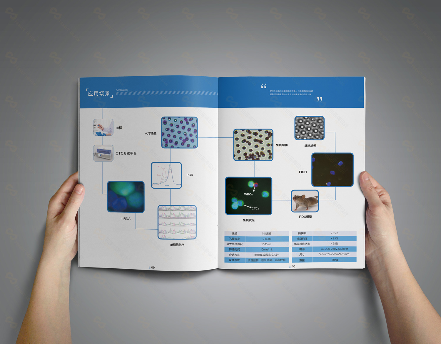广州画册设计公司，擅长为企业定制画册设计方案！